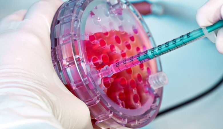 What is Stem Cell Treatment