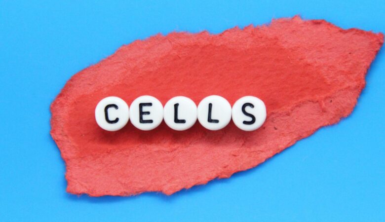 How Stem Cell Technologies Are Transforming Regenerative Medicine
