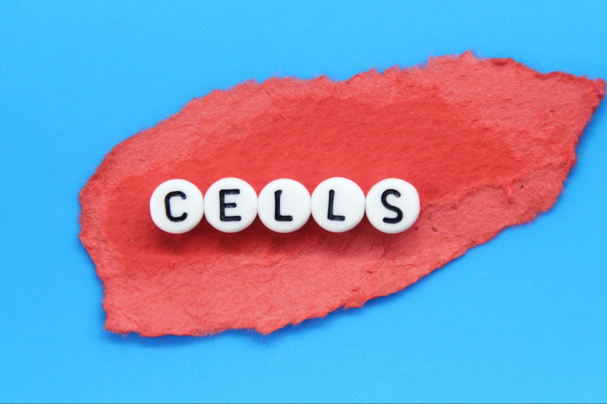 Small white circles spelling out the word “Cells” on top of a piece of torn red paper against a blue background.