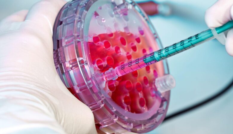 What is Regenerative Therapy?