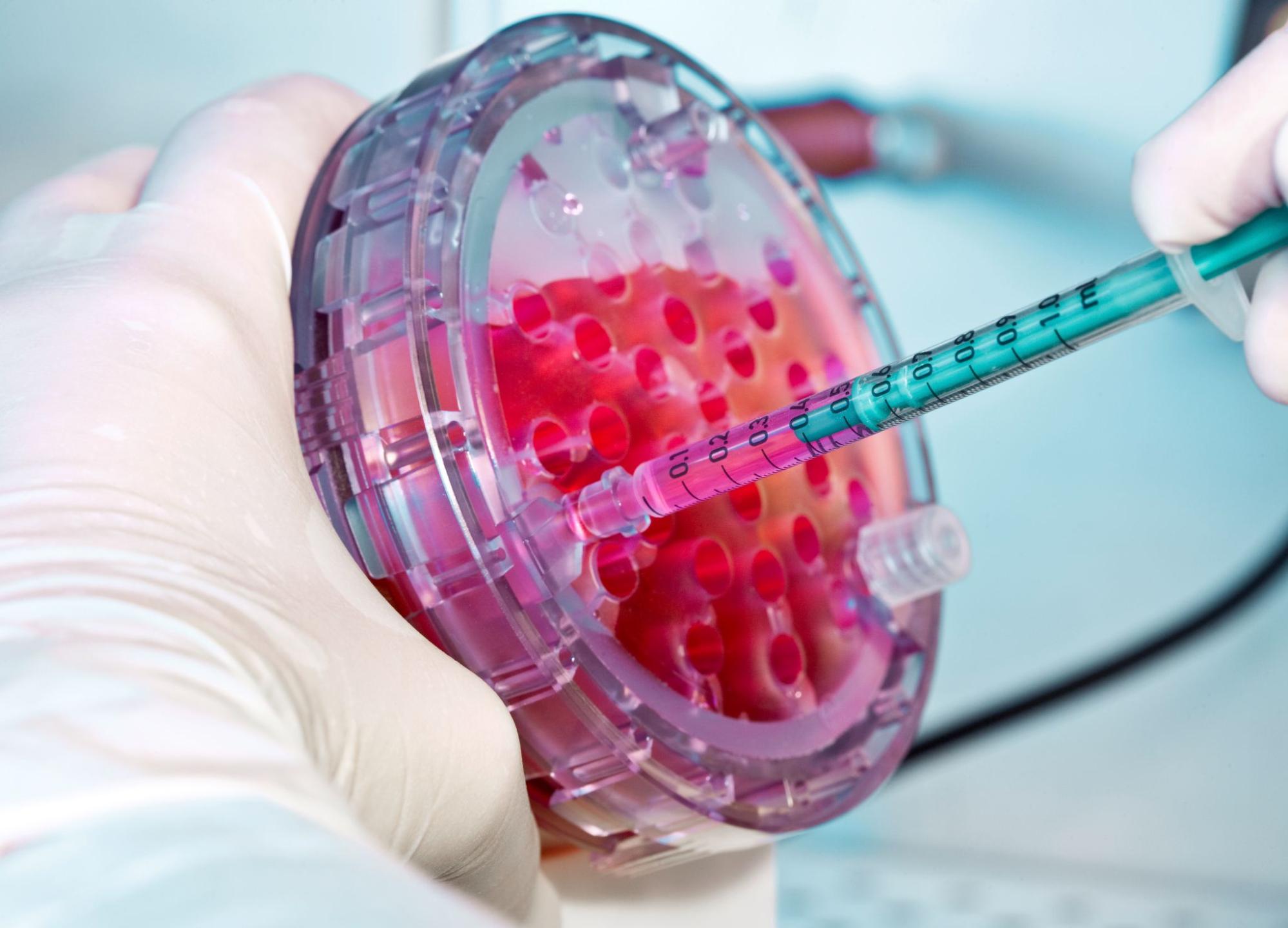 A scientist pipetting a pink solution into a multi-well plate in a laboratory setting. A concept for regenerative therapy.