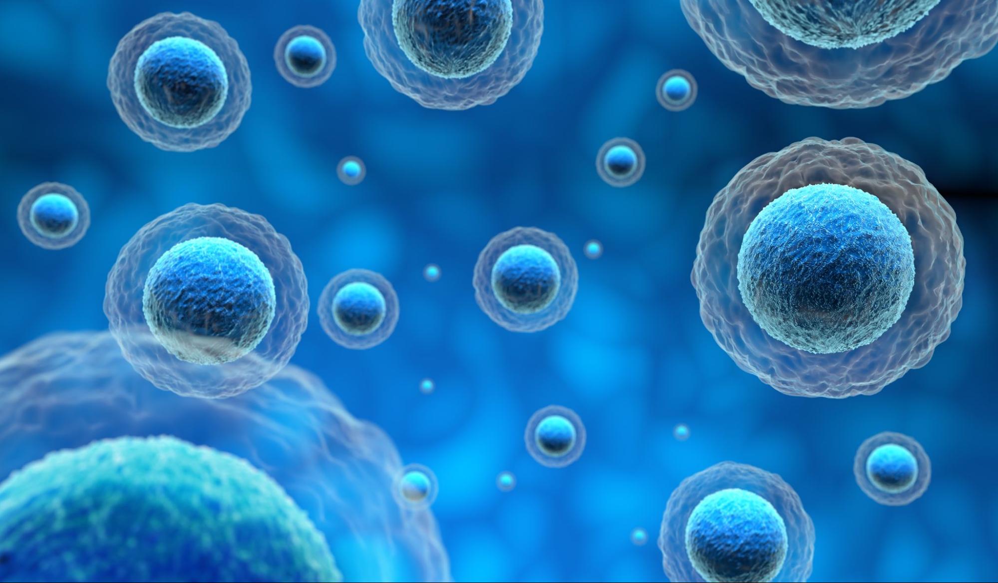 A 3D illustration of human stem cells against a blue background.
