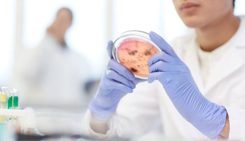 Top Innovations in Stem Cell Technologies to Watch in 2025